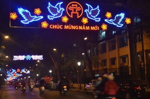 Hà Nội lung linh ánh đèn chào đón năm mới - ảnh 15
